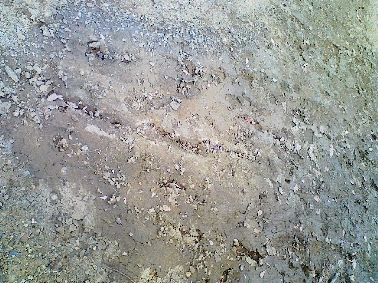 液状化？地面にカニの穴状の穴が開いて水が噴出した後